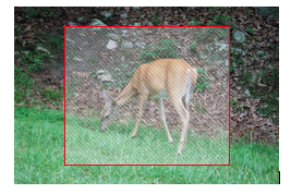 Original is larger than crop size