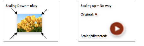 Scaling Images Properly